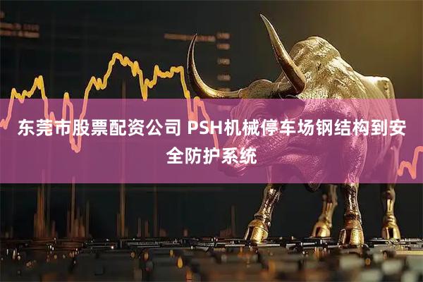 东莞市股票配资公司 PSH机械停车场钢结构到安全防护系统
